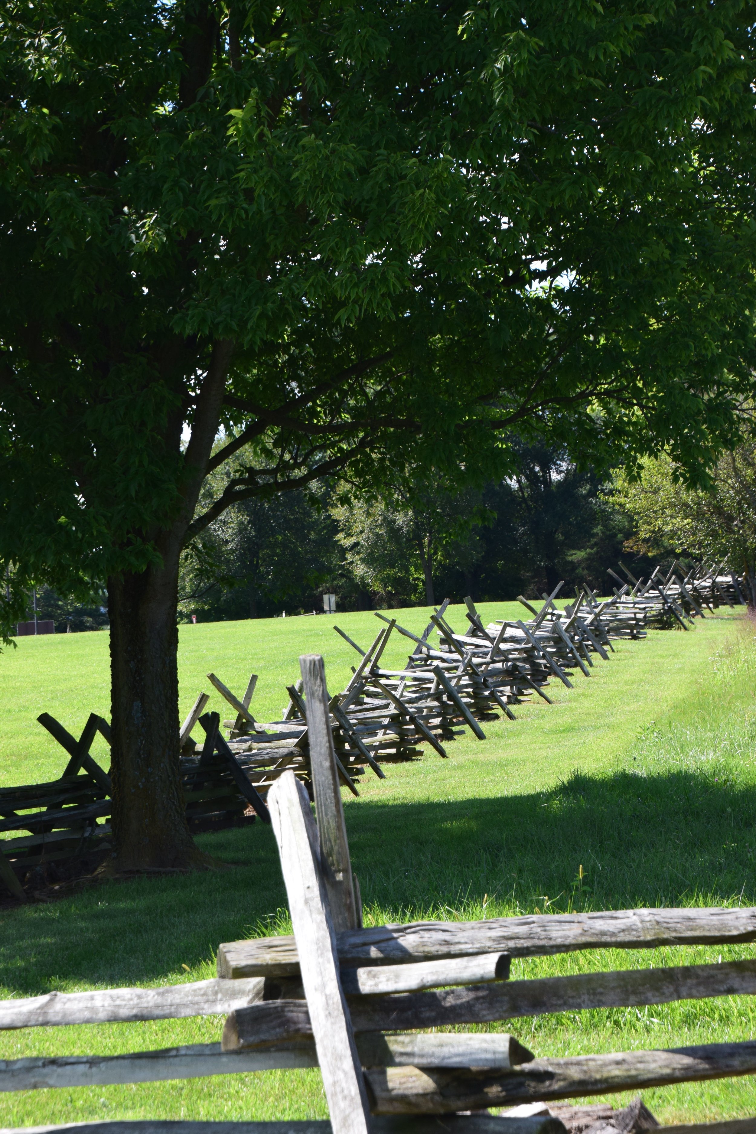 02_Harrisonburg_04.jpg