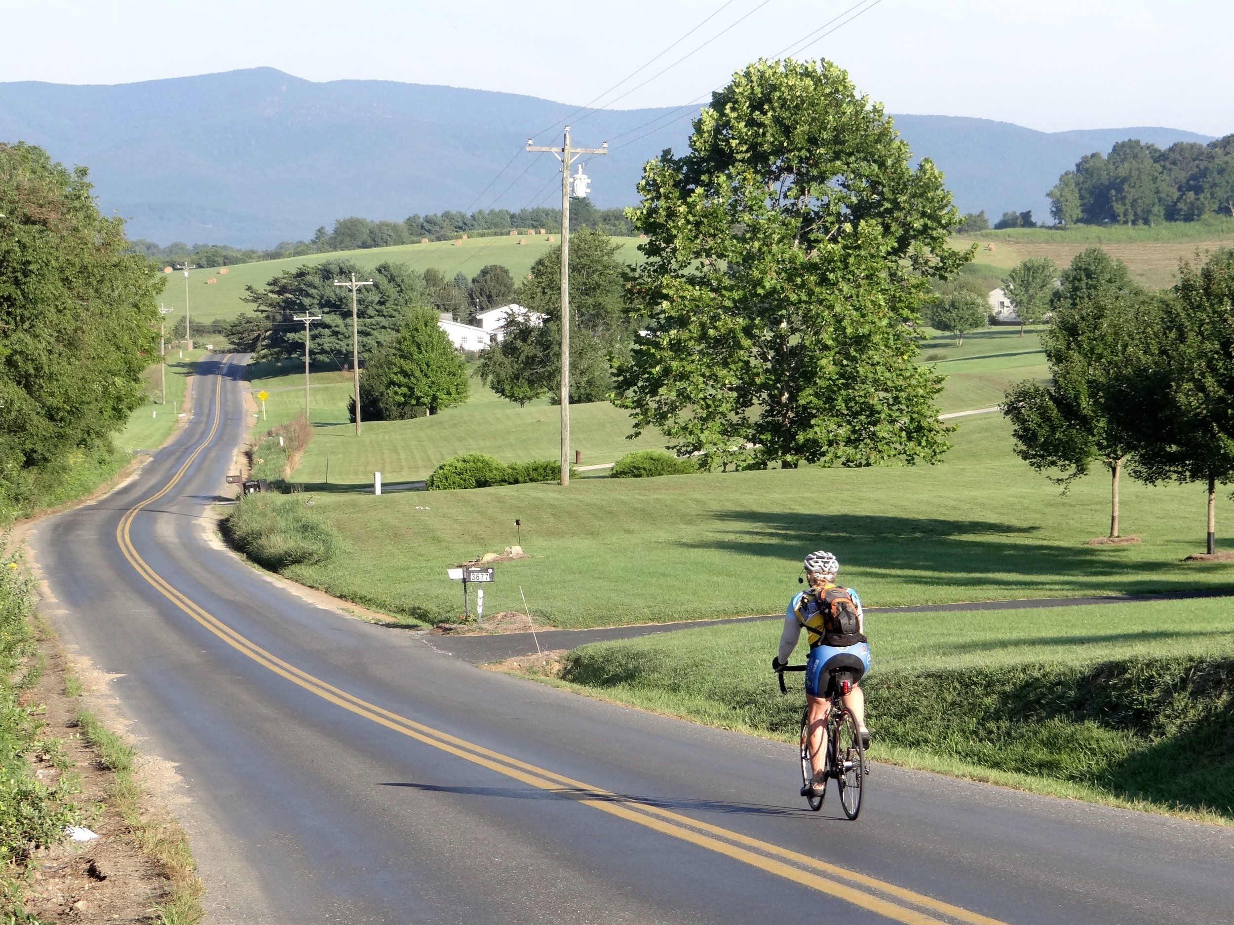 04_Staunton_03.jpg