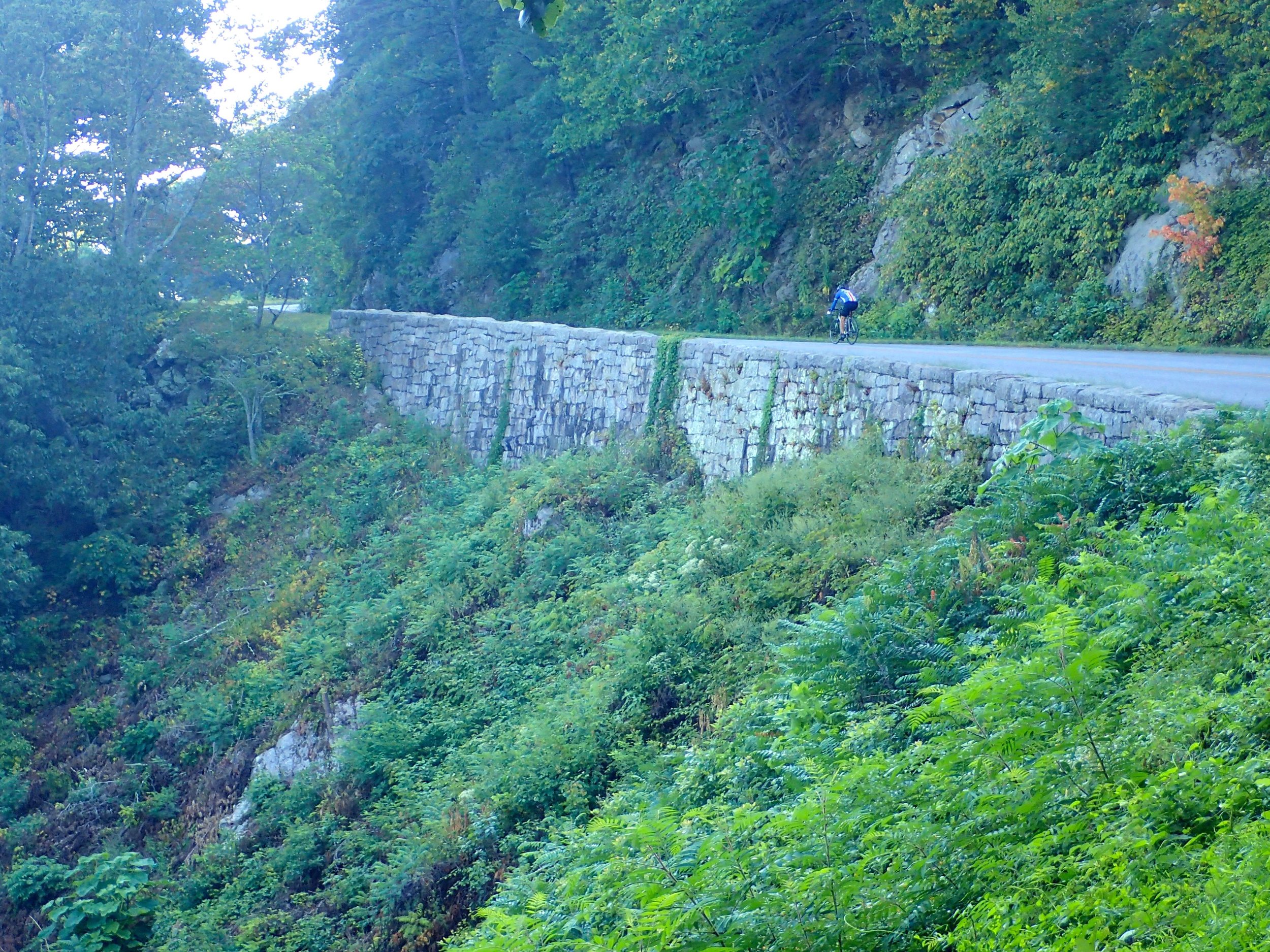 11_Waynesboro_06.jpg