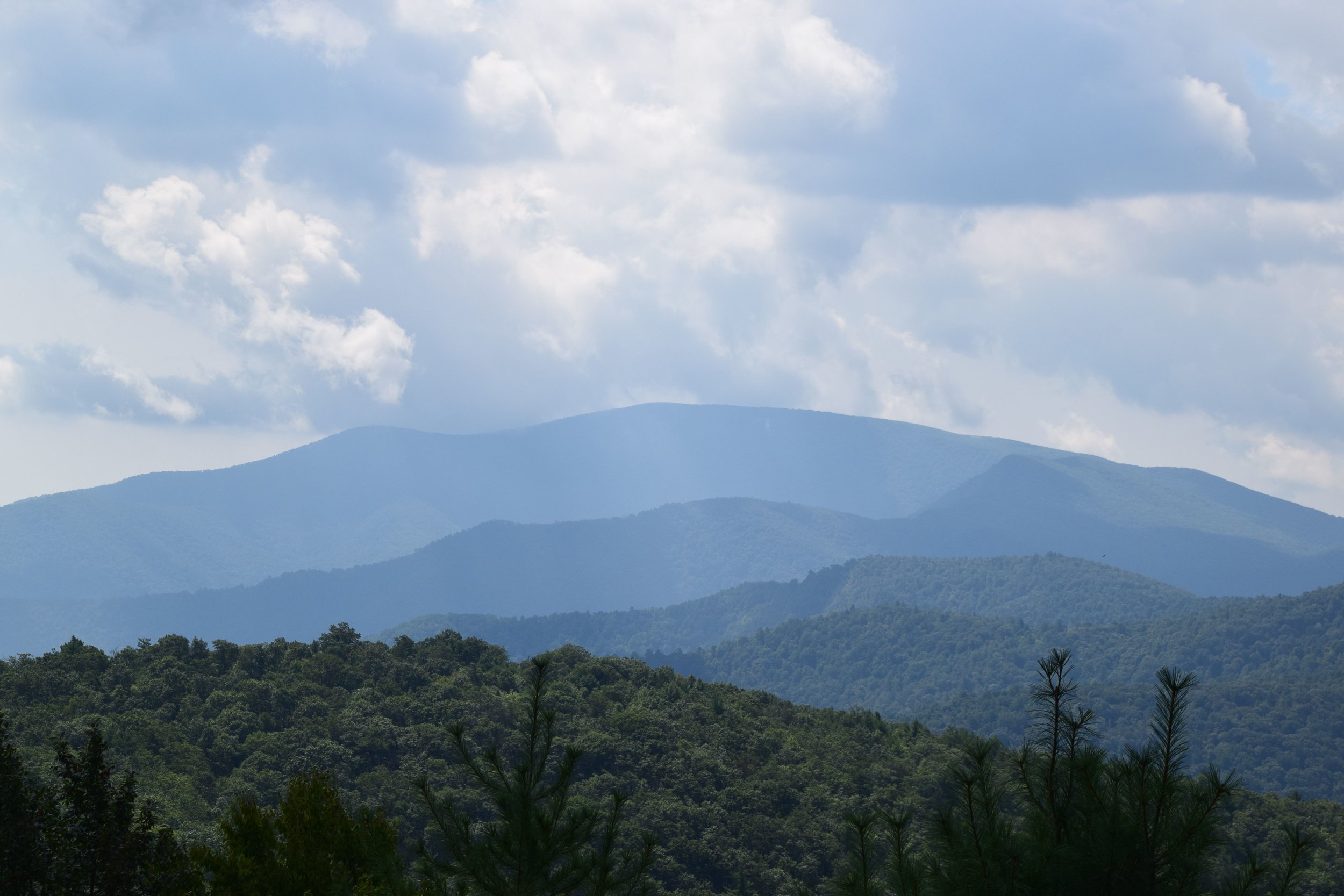 11_Waynesboro_16.jpg