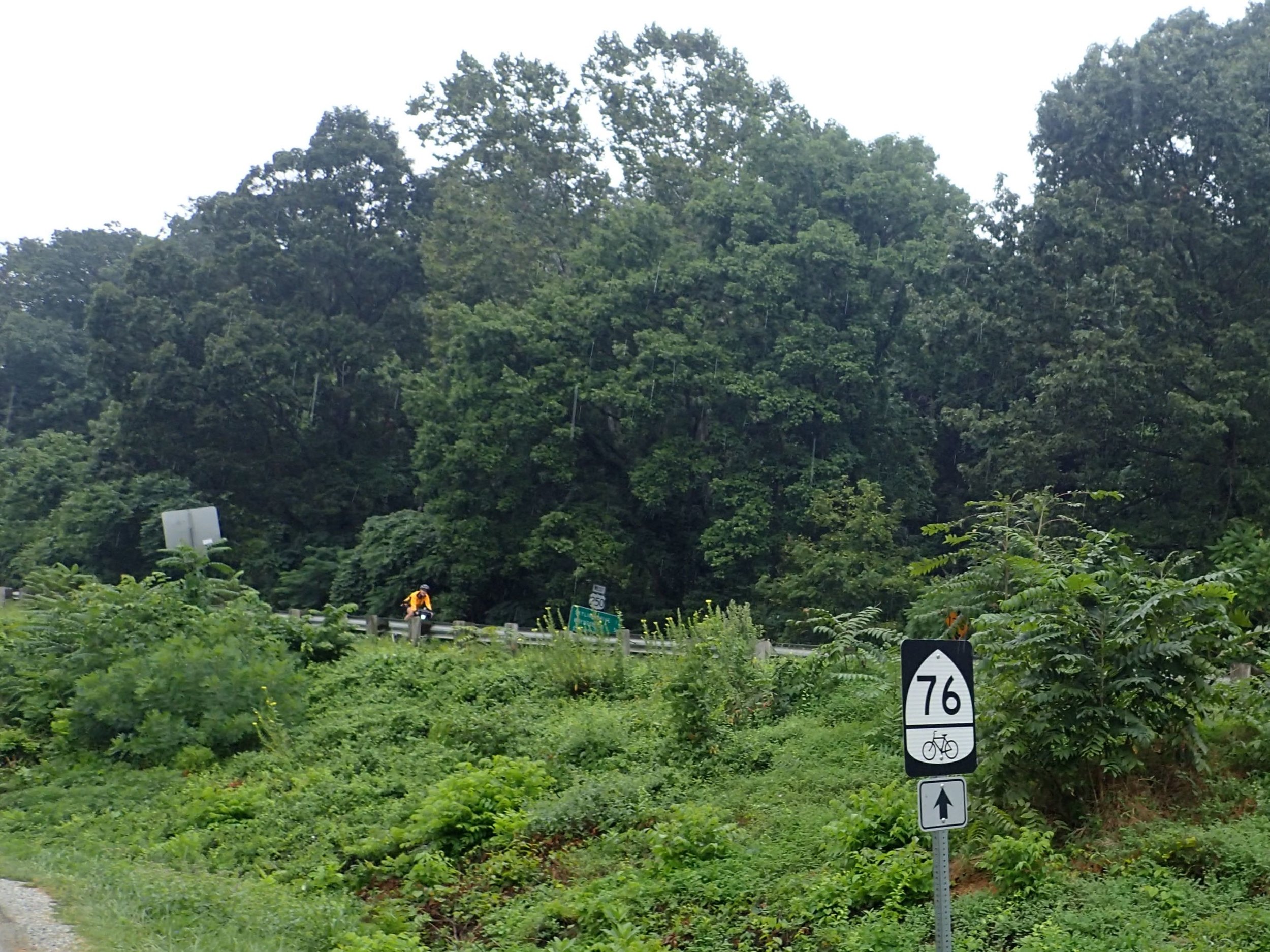 12_Charlottesville_06.jpg