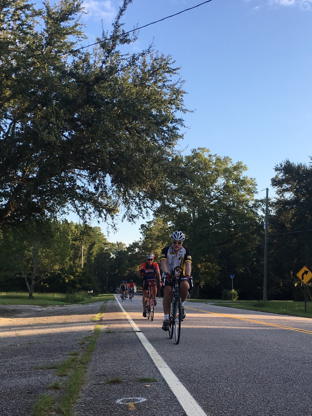 22 Savannah 07.jpeg