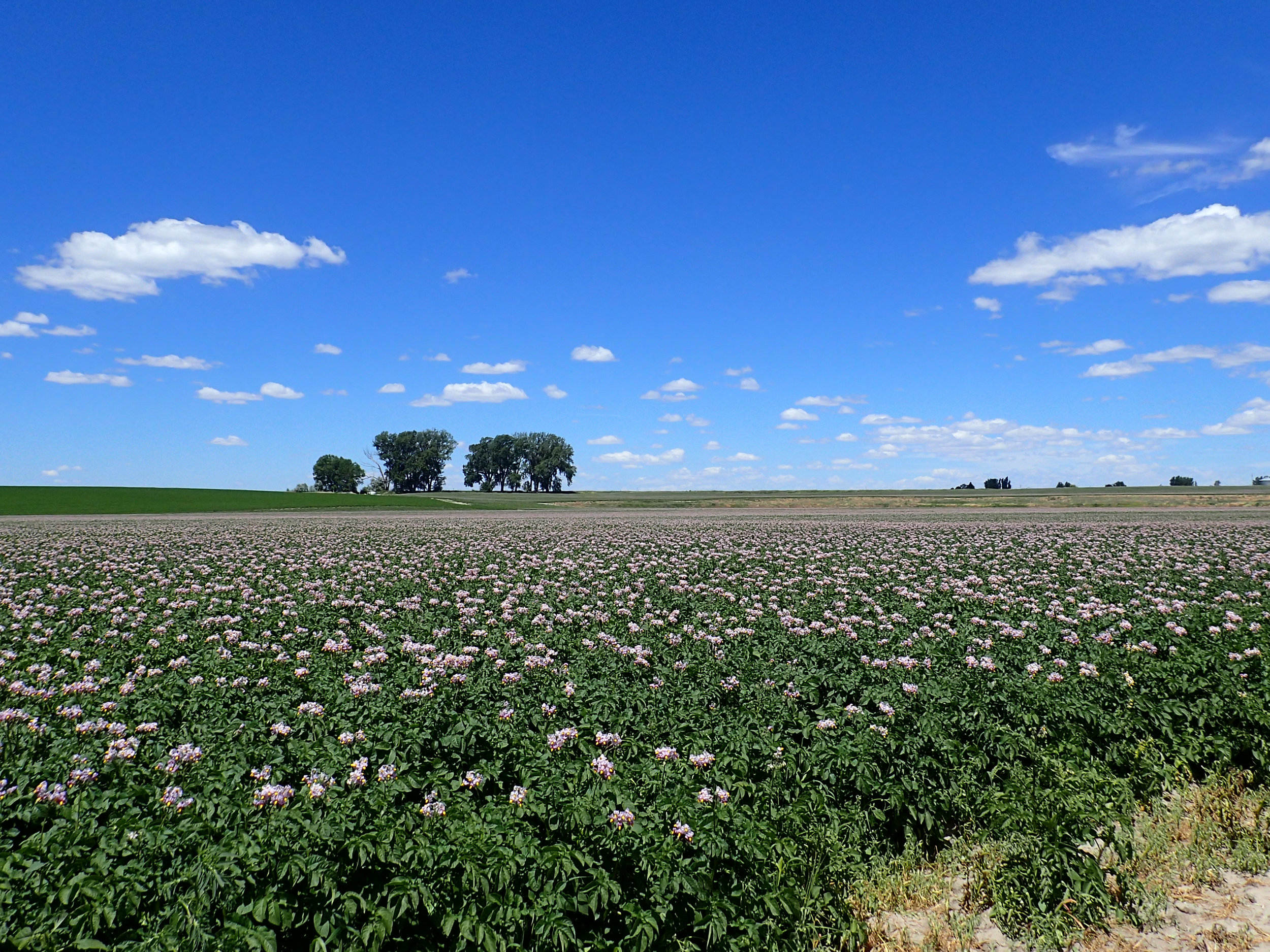 14_Idaho Falls_24.jpg