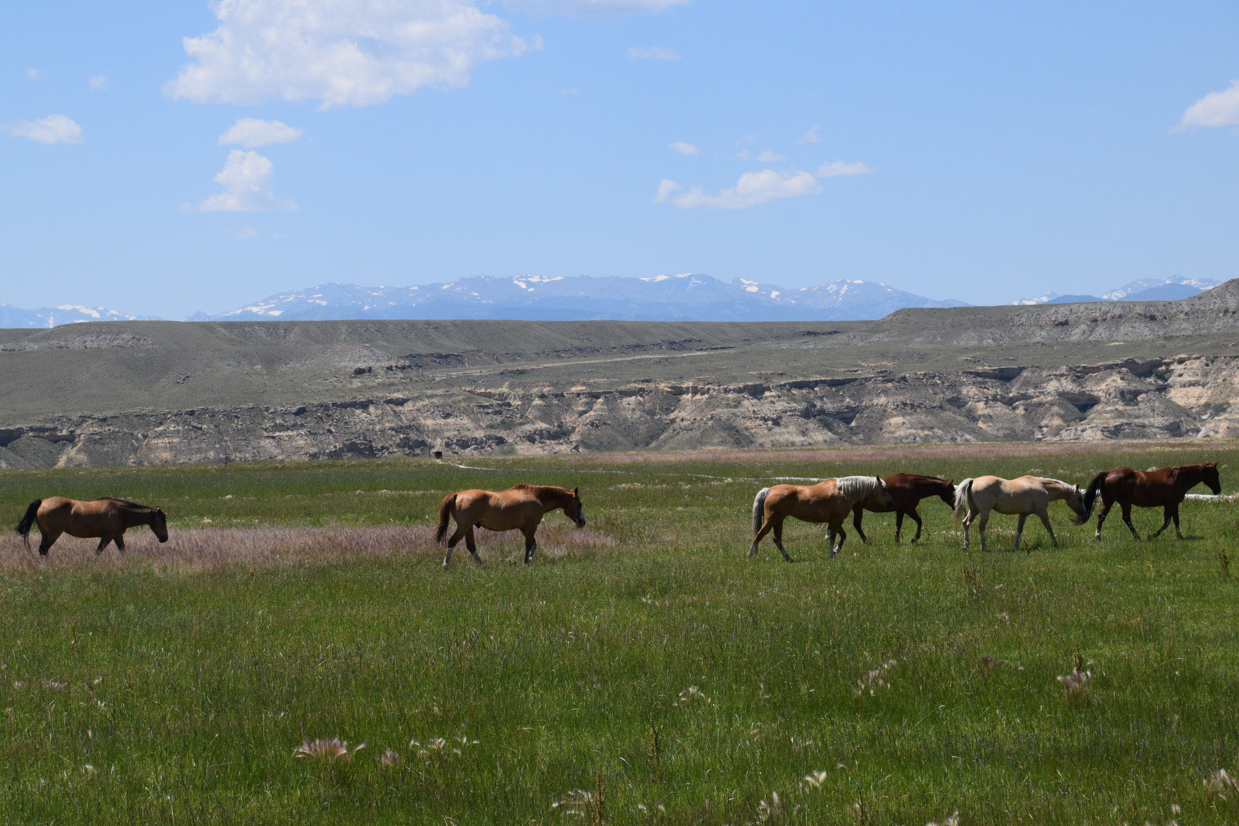 17_Riverton_23.jpg