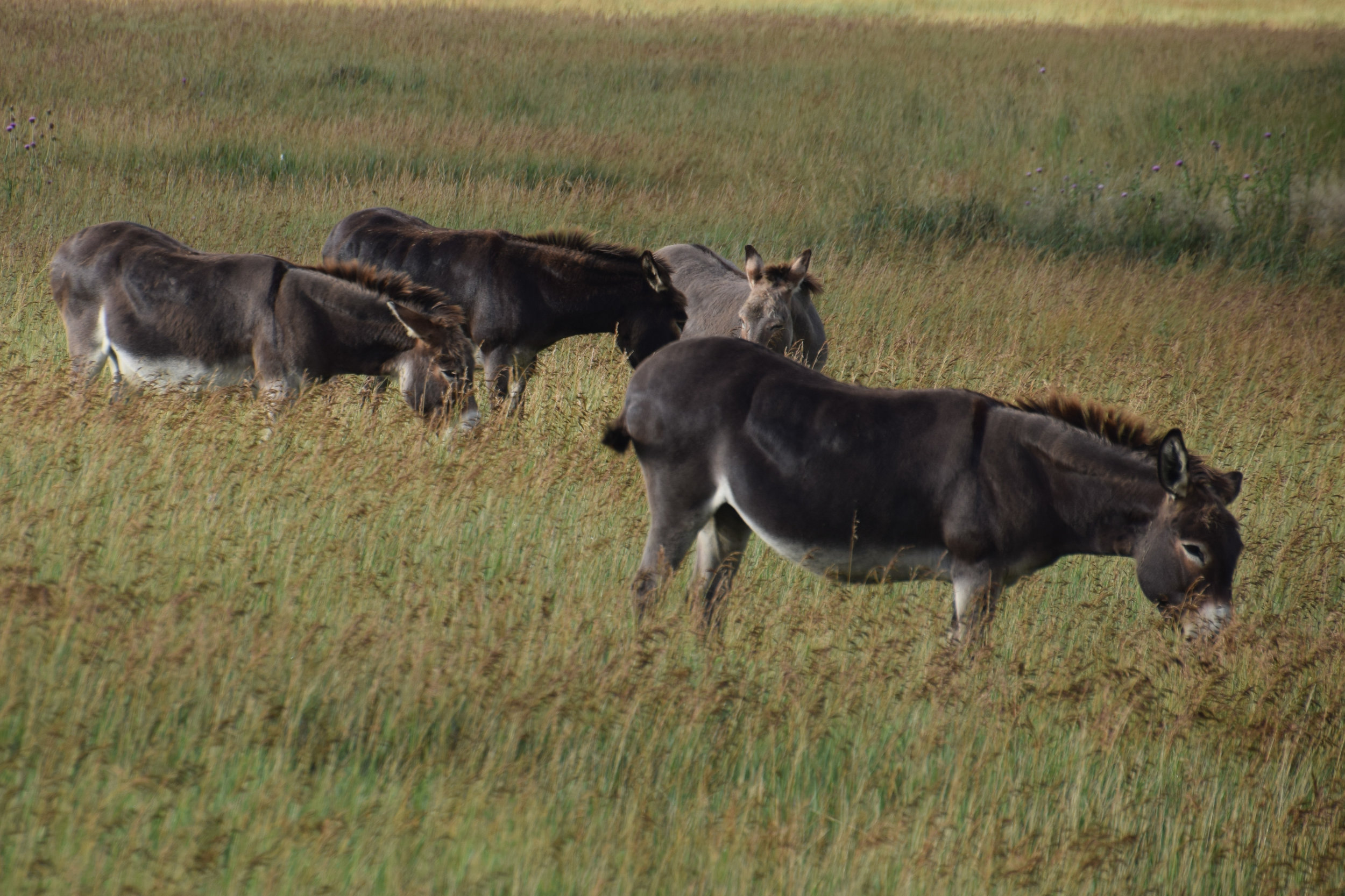 28_Sioux Falls_02.jpg