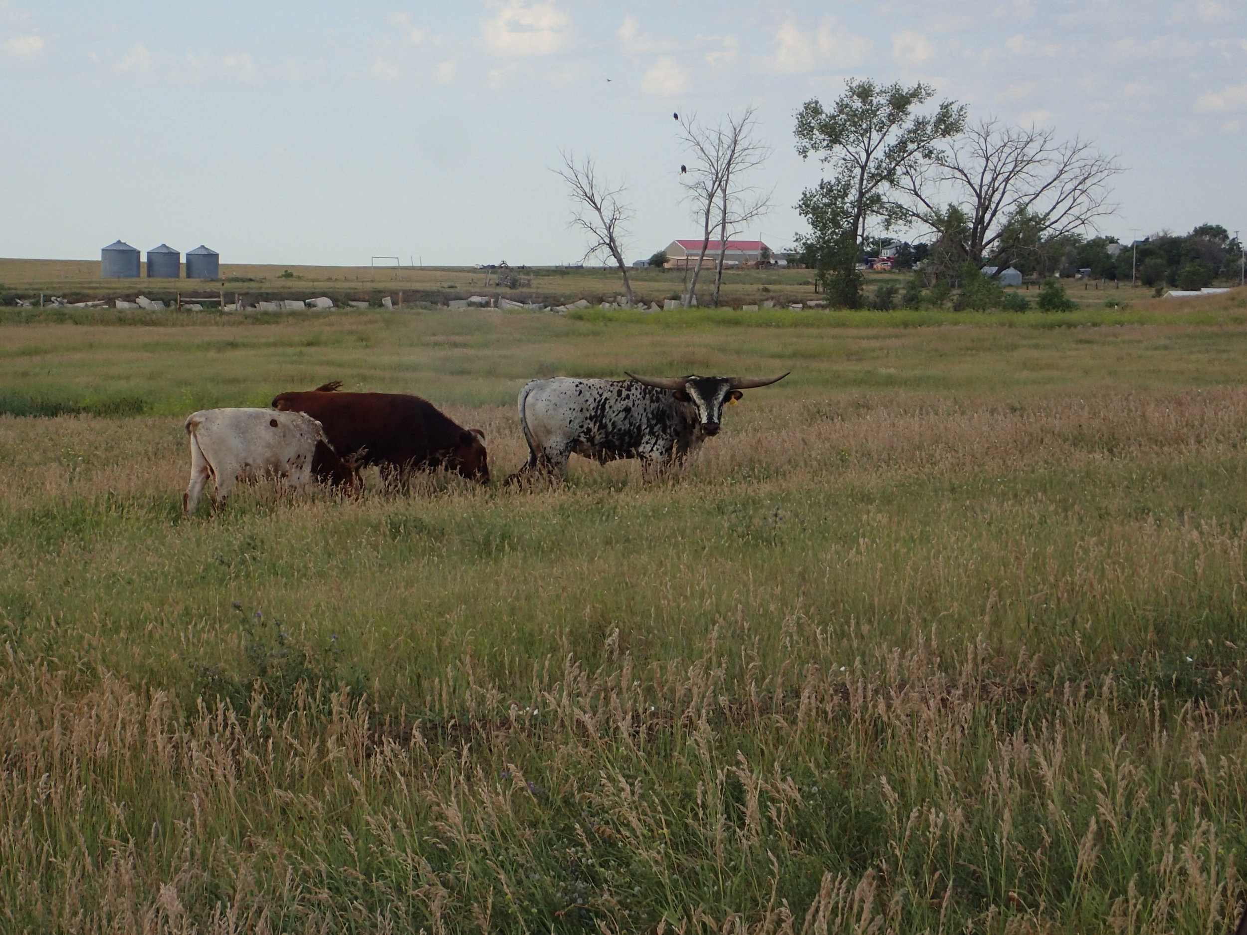 28_Sioux Falls_03.jpg