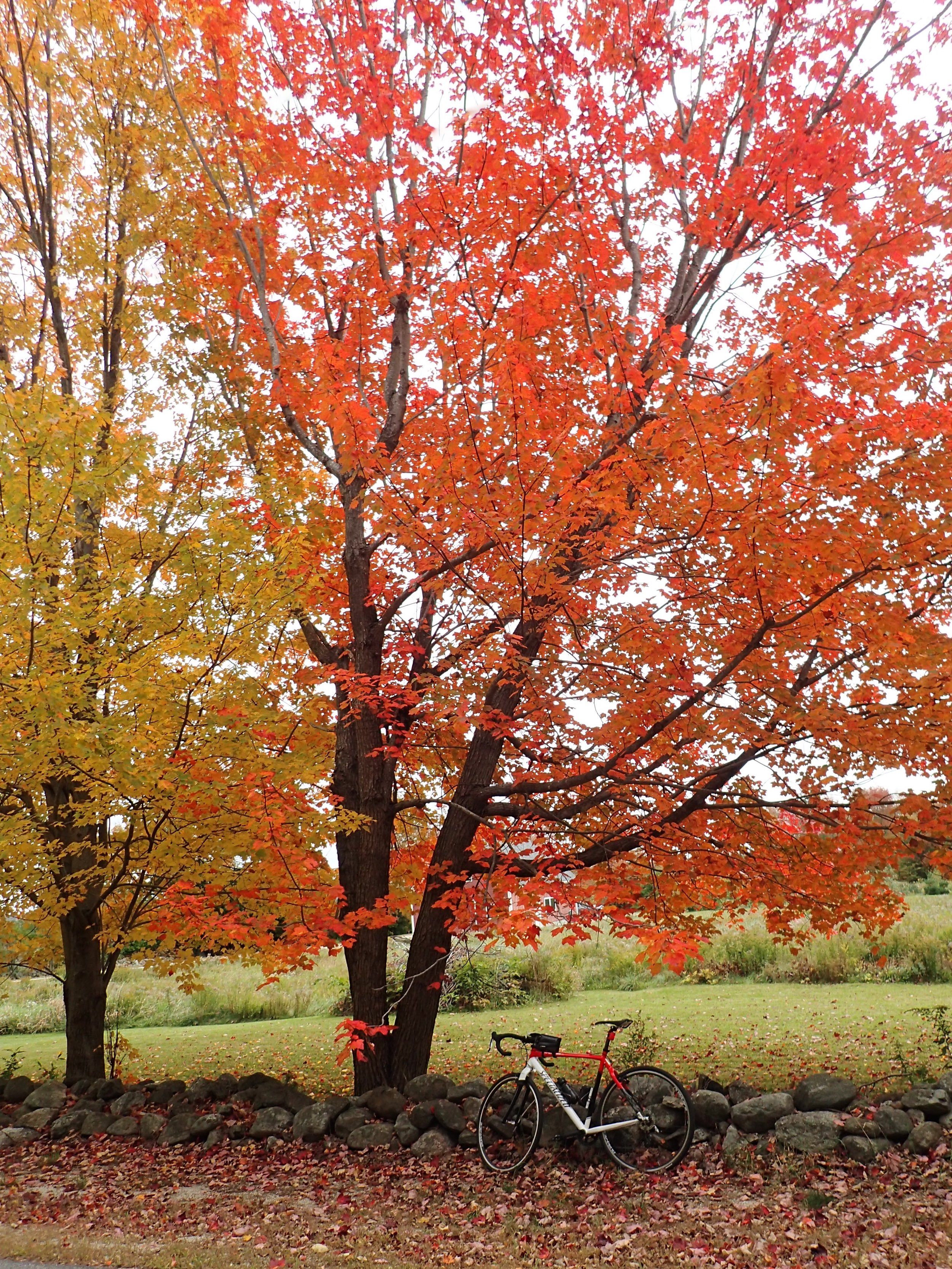 01_Lewiston_08.jpg