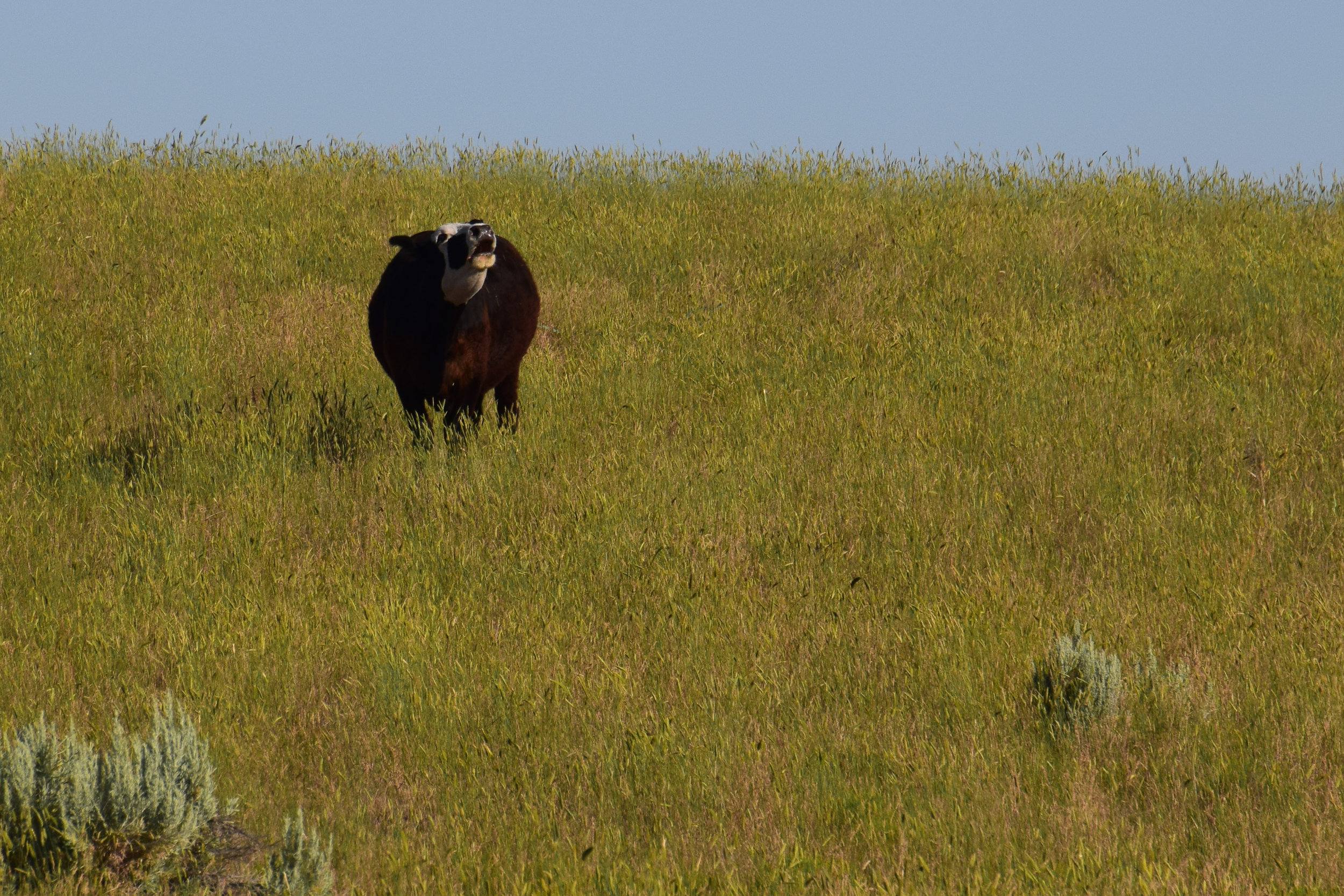 13_Pocatello_15.jpg