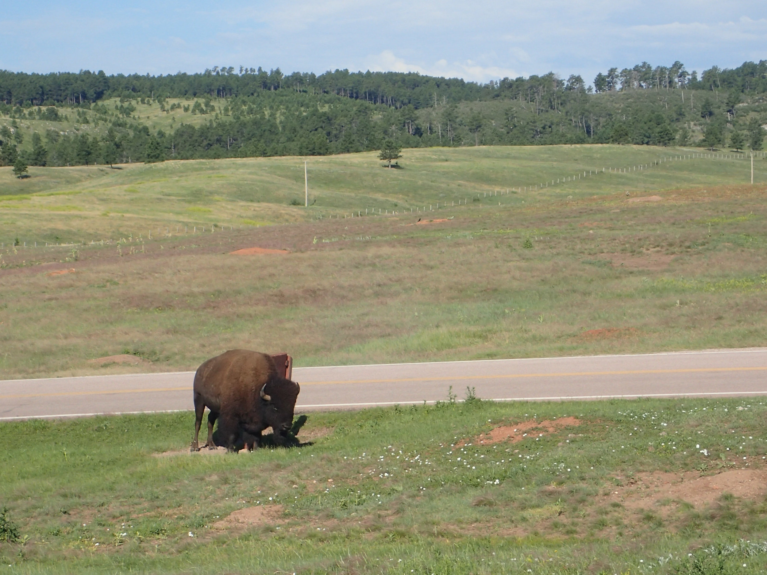 21_Rapid City_19.jpg