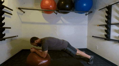 Plank swiss ball rollouts Wake Boarding and water skiing Balance strength endurance the best core exercises.gif