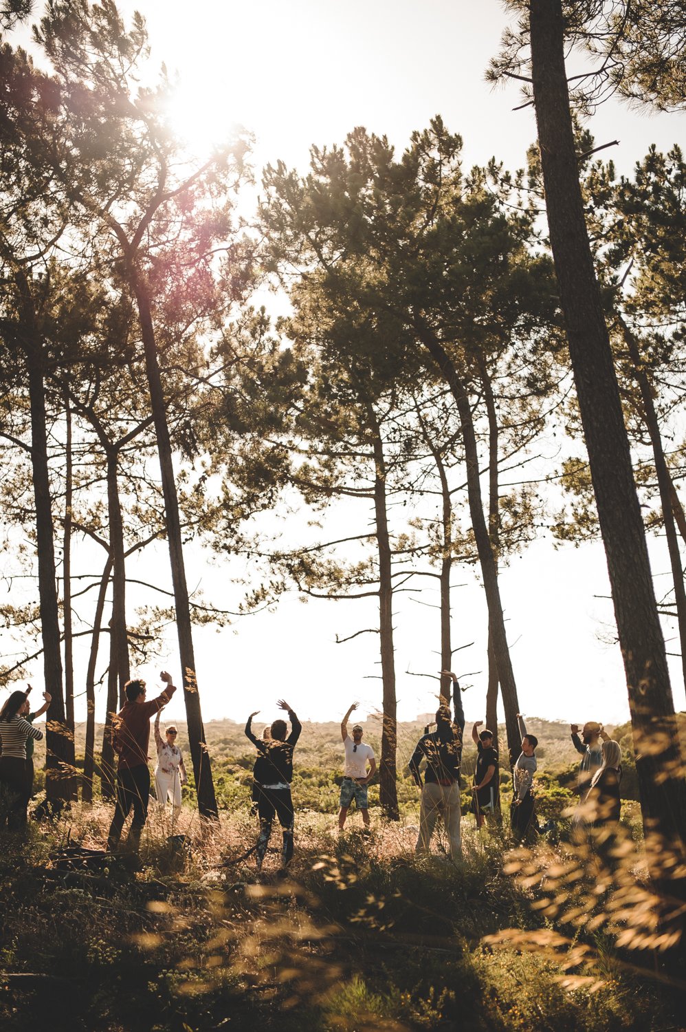 breathwork and yoga in forest.jpeg