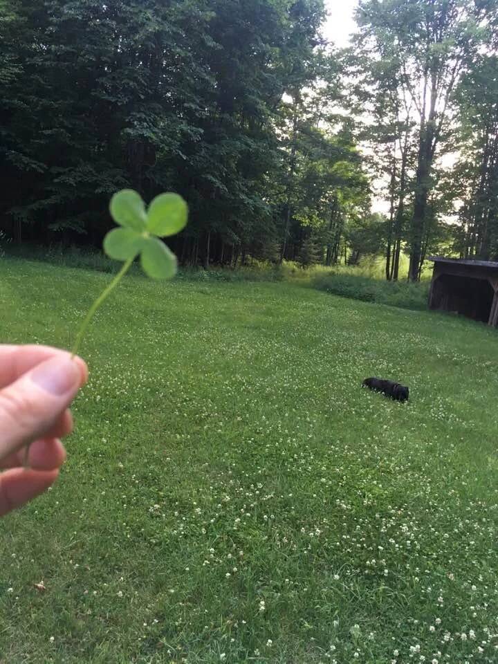 Transforming Fear into Love