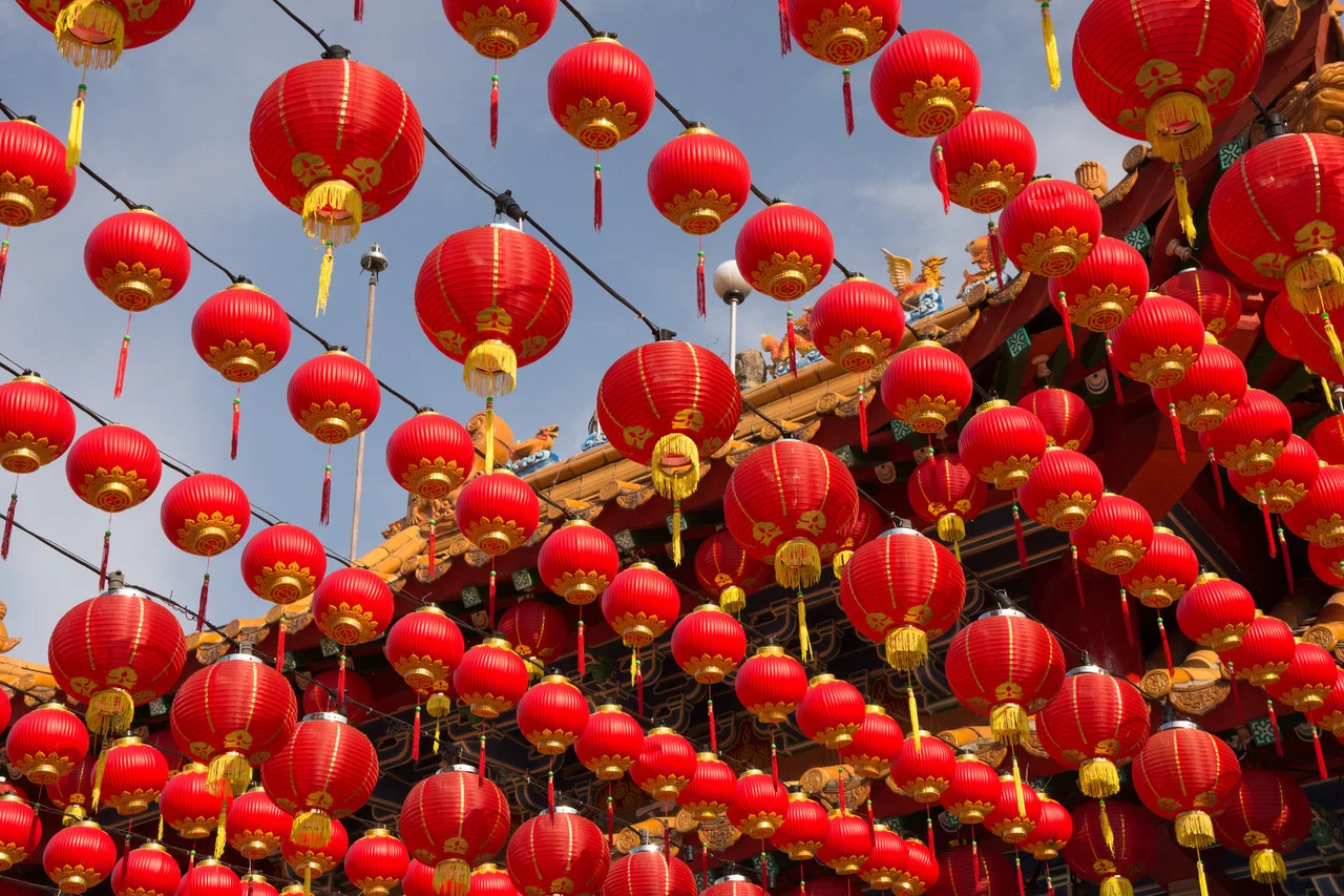 2019 Predictions and Advice for the Year of the Earth Pig