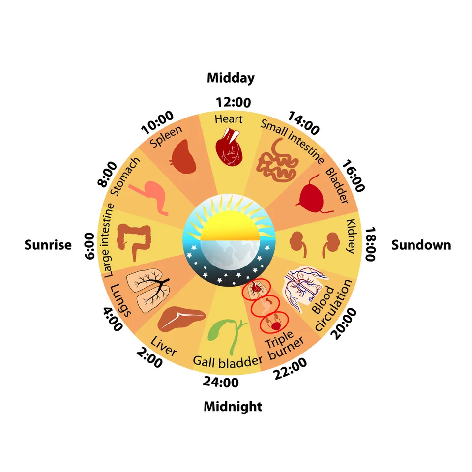 Traditional Chinese Medicine Explains Why You Wake Up Around The Same Time Every Night Tao Of Wellness