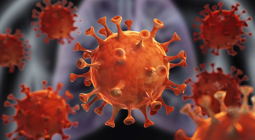Three Immunity Boosting, Anti-Viral Herbs﻿