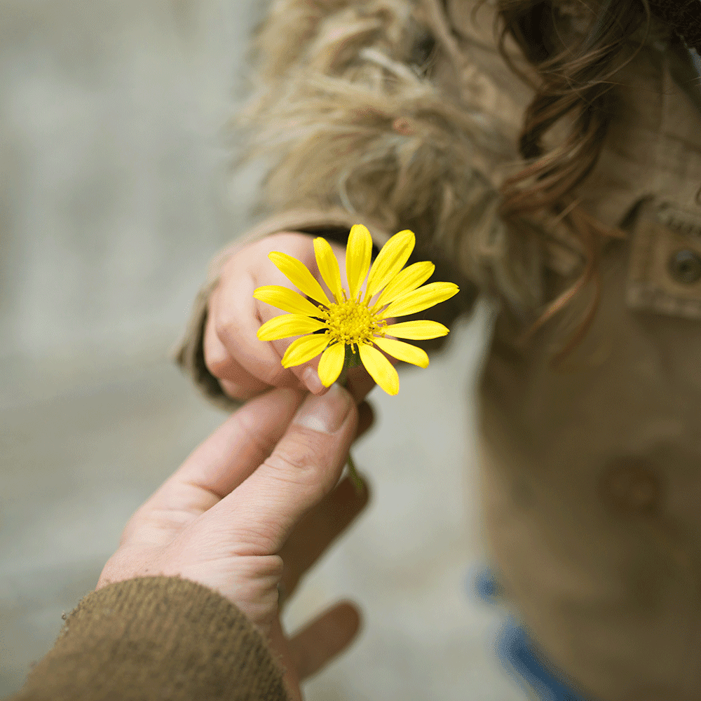 A Year End Message: How to Live in a Healthy Relationship with Others