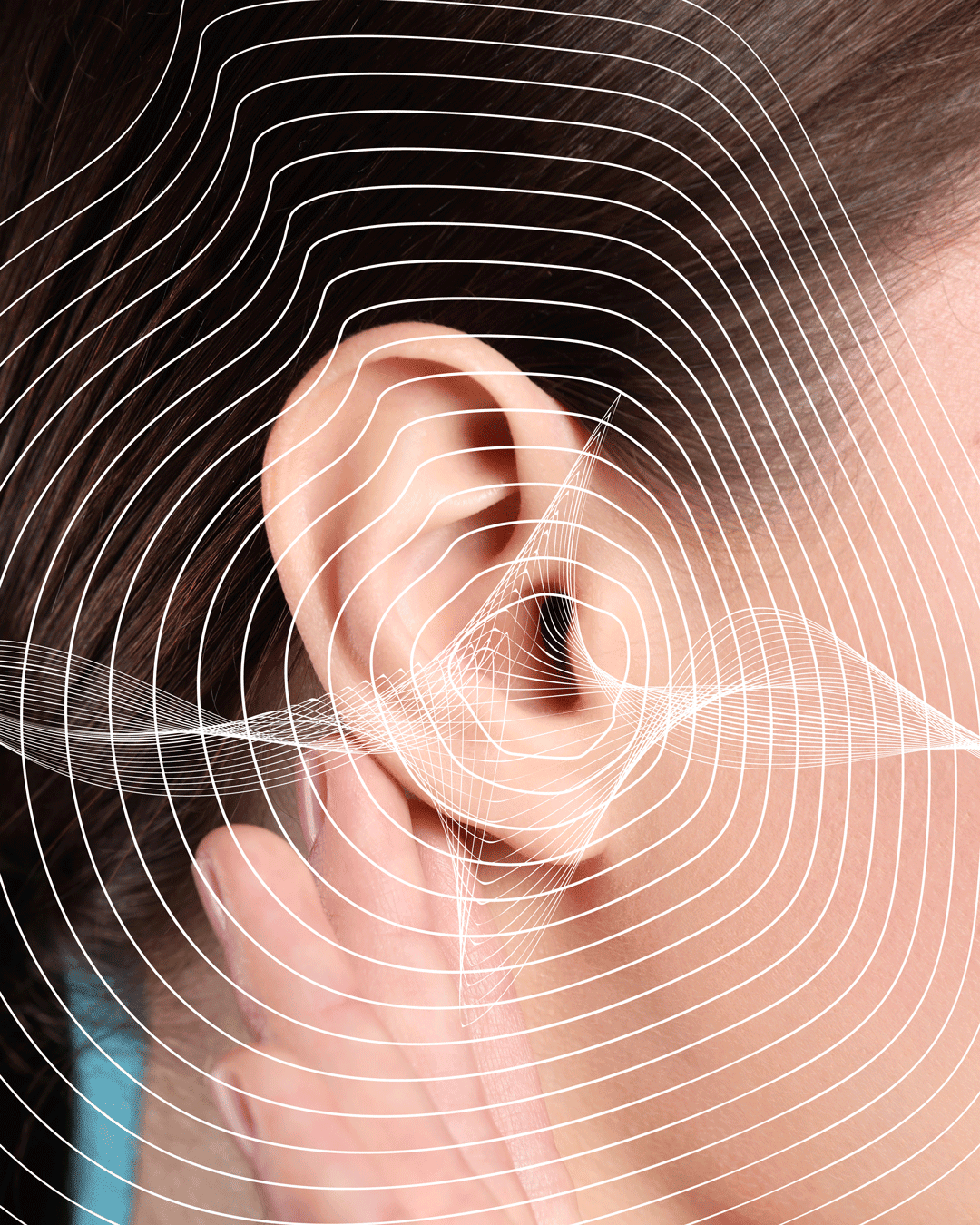 How to Tame Tinnitus—an Integrative Approach