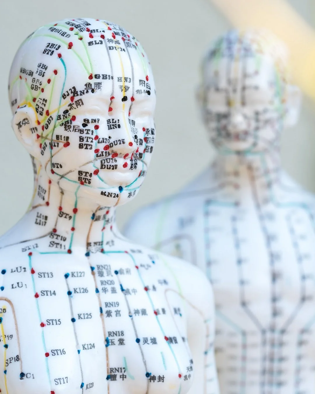 A Personal Reflection on Chinese Medicine and the Changing Face of American Healthcare
