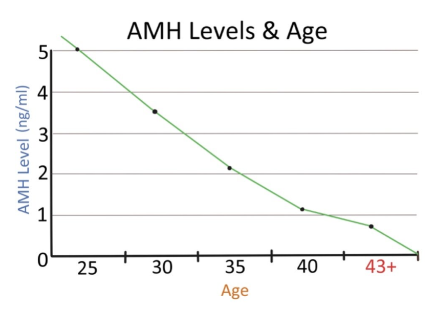 Improving Fertility & Pregnancy in Advanced Maternal Age — Tao of Wellness