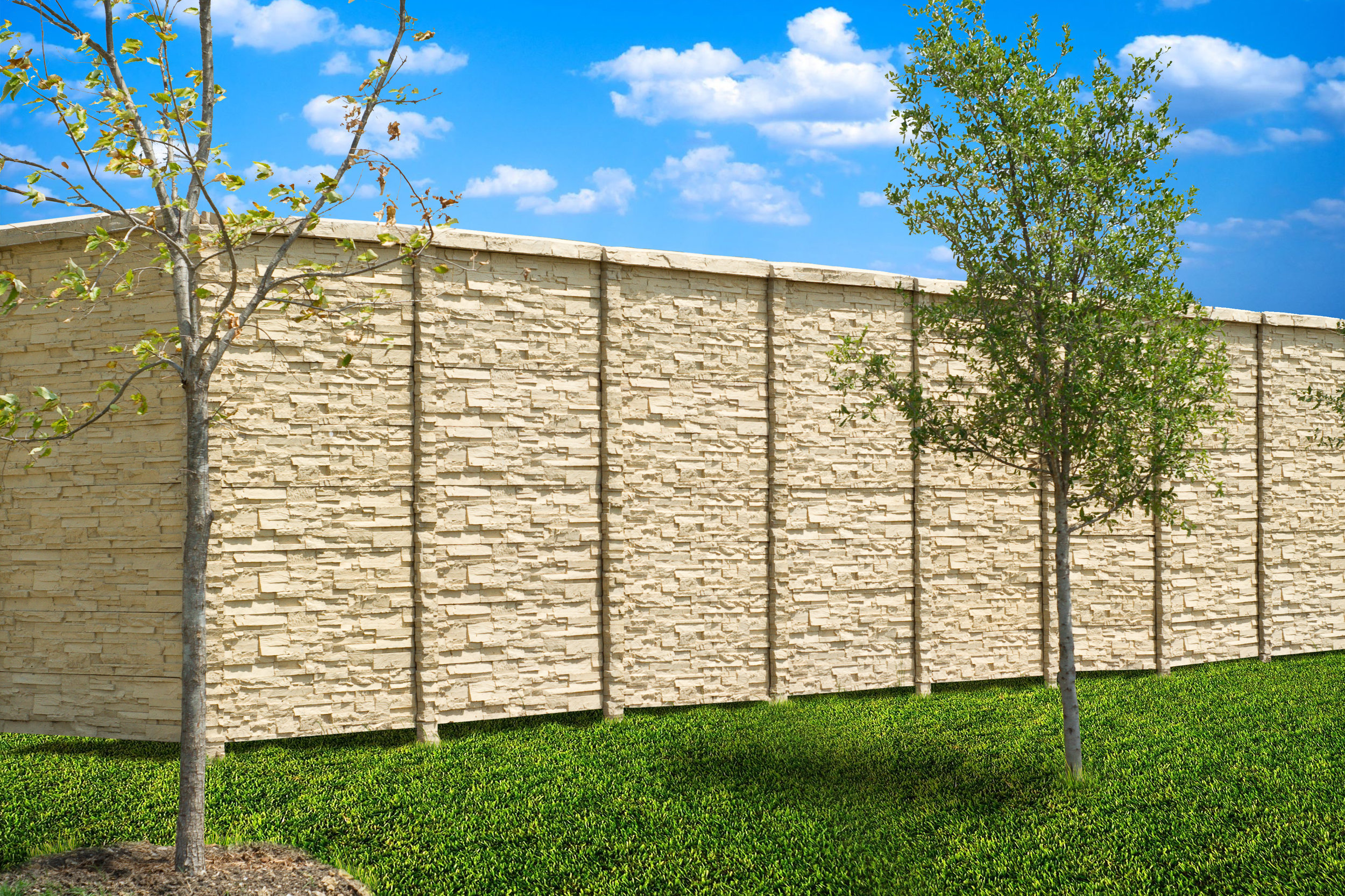 CHS Fence.jpg