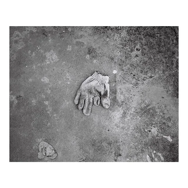 #takenbypine #mamiya7 #mediumformat #120 #filmphotography #illford #illfordhp5 #filmisnotdead