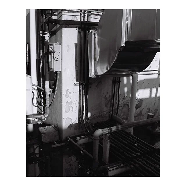 #takenbypine #mamiya7 #mediumformat #120 #filmphotography #illford #illfordhp5 #filmisnotdead