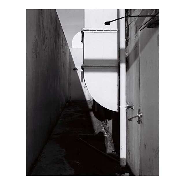 Sunny day #takenbypine #mamiya7 #mediumformat #120 #filmphotography #illford #illfordhp5 #filmisnotdead