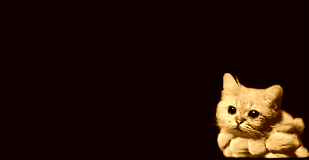 ezgif.com-gif-maker (2).gif