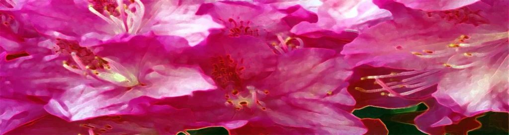 FeatIMG_flowers_1028x273pxw-1024x272.jpg