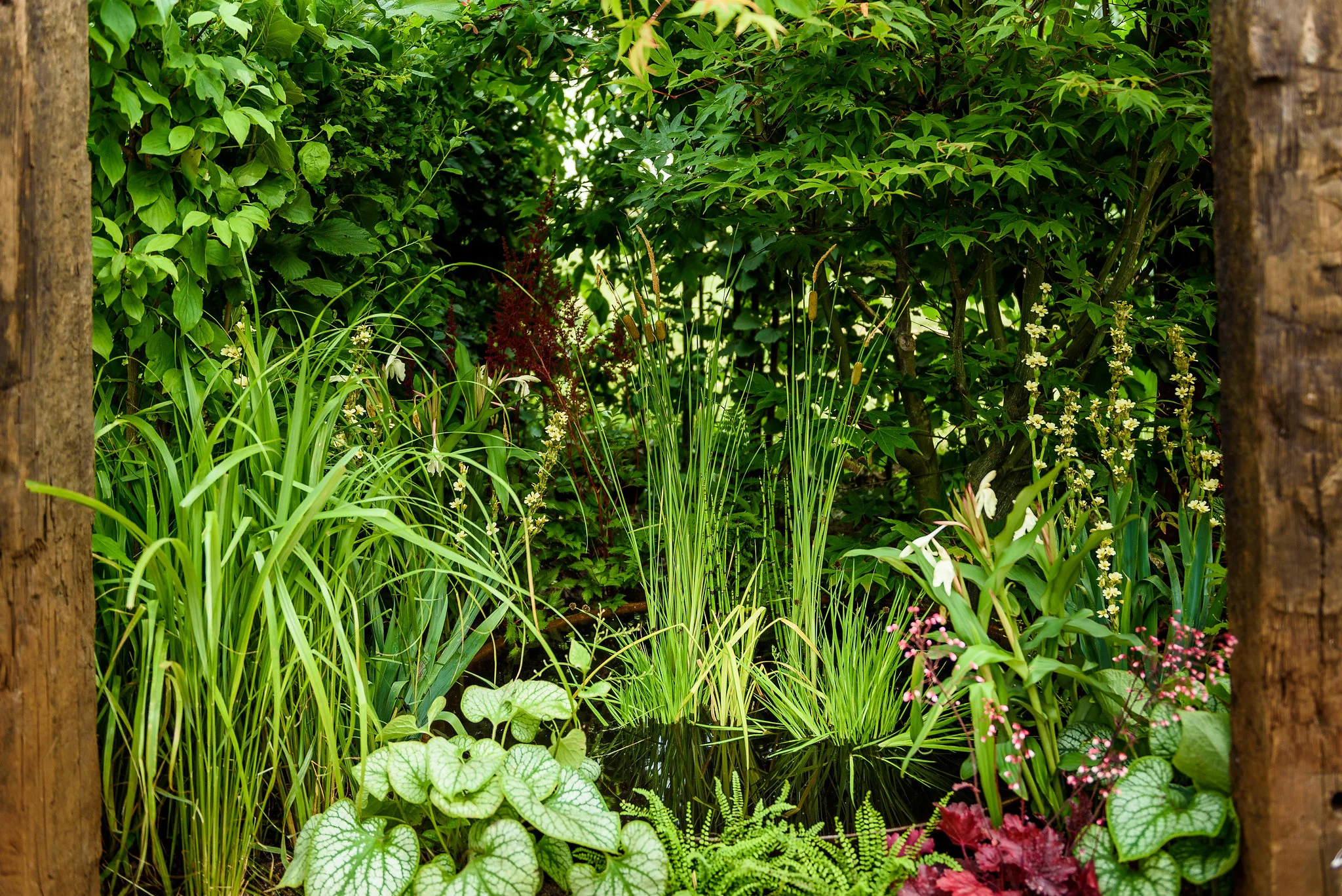 PC-GardenersWorld2018-040.jpg