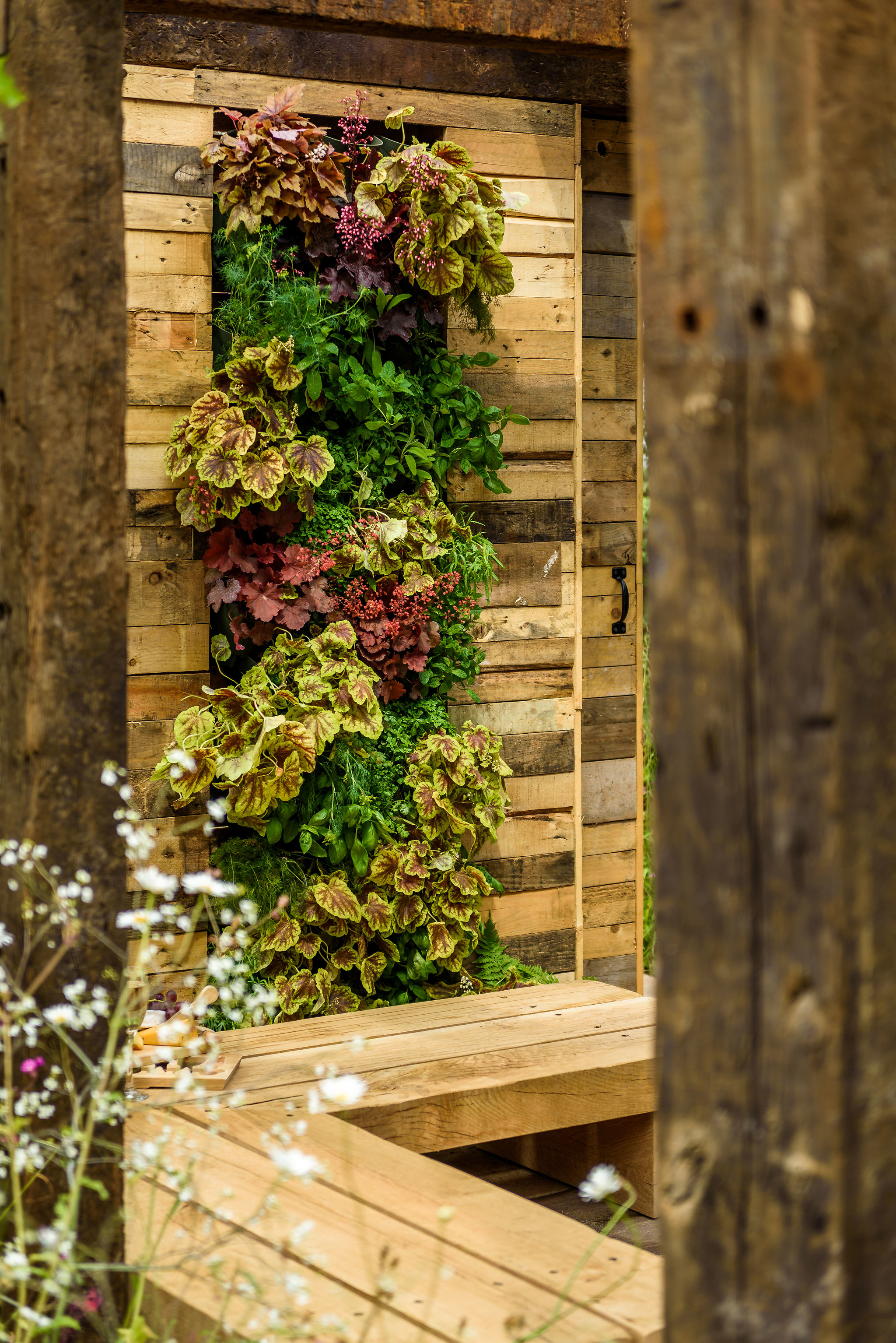 PC-GardenersWorld2018-024.jpg
