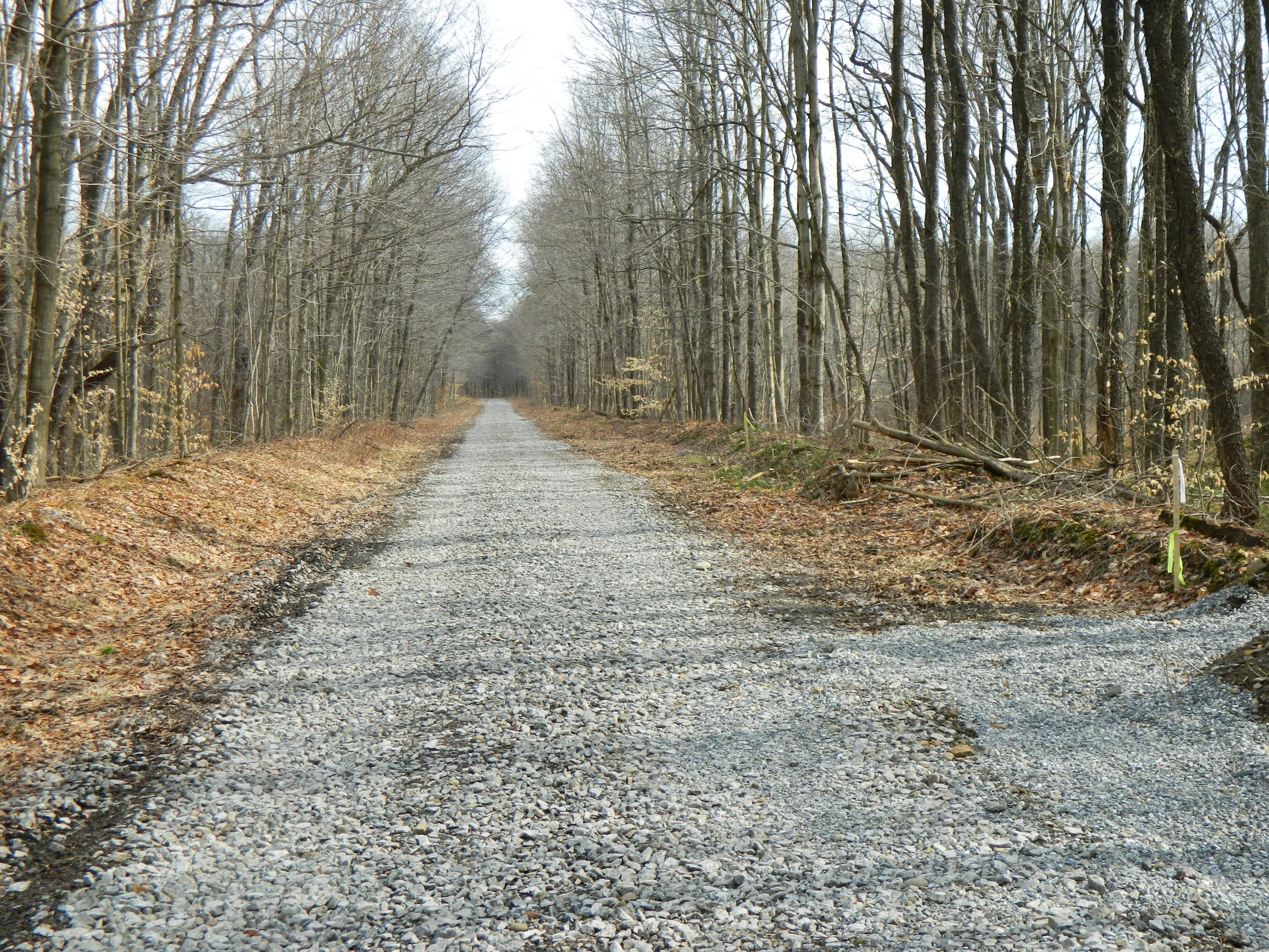DSCN5701.JPG