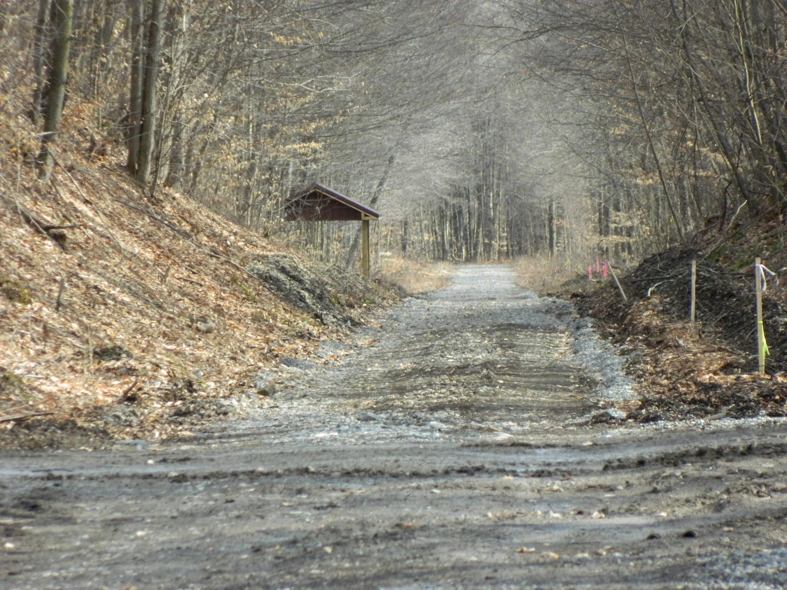 DSCN5697.JPG