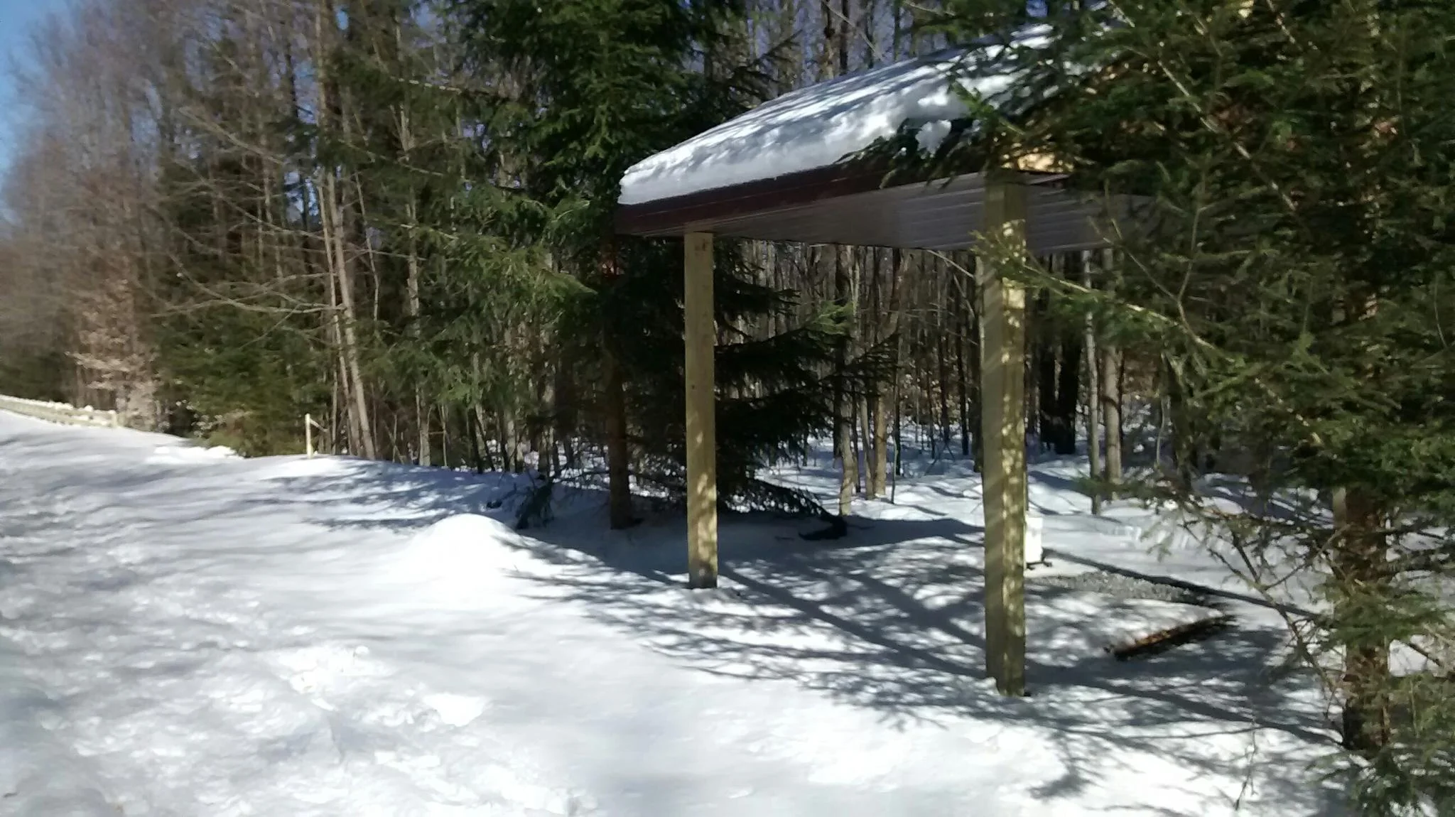 evergreen shelter.jpg