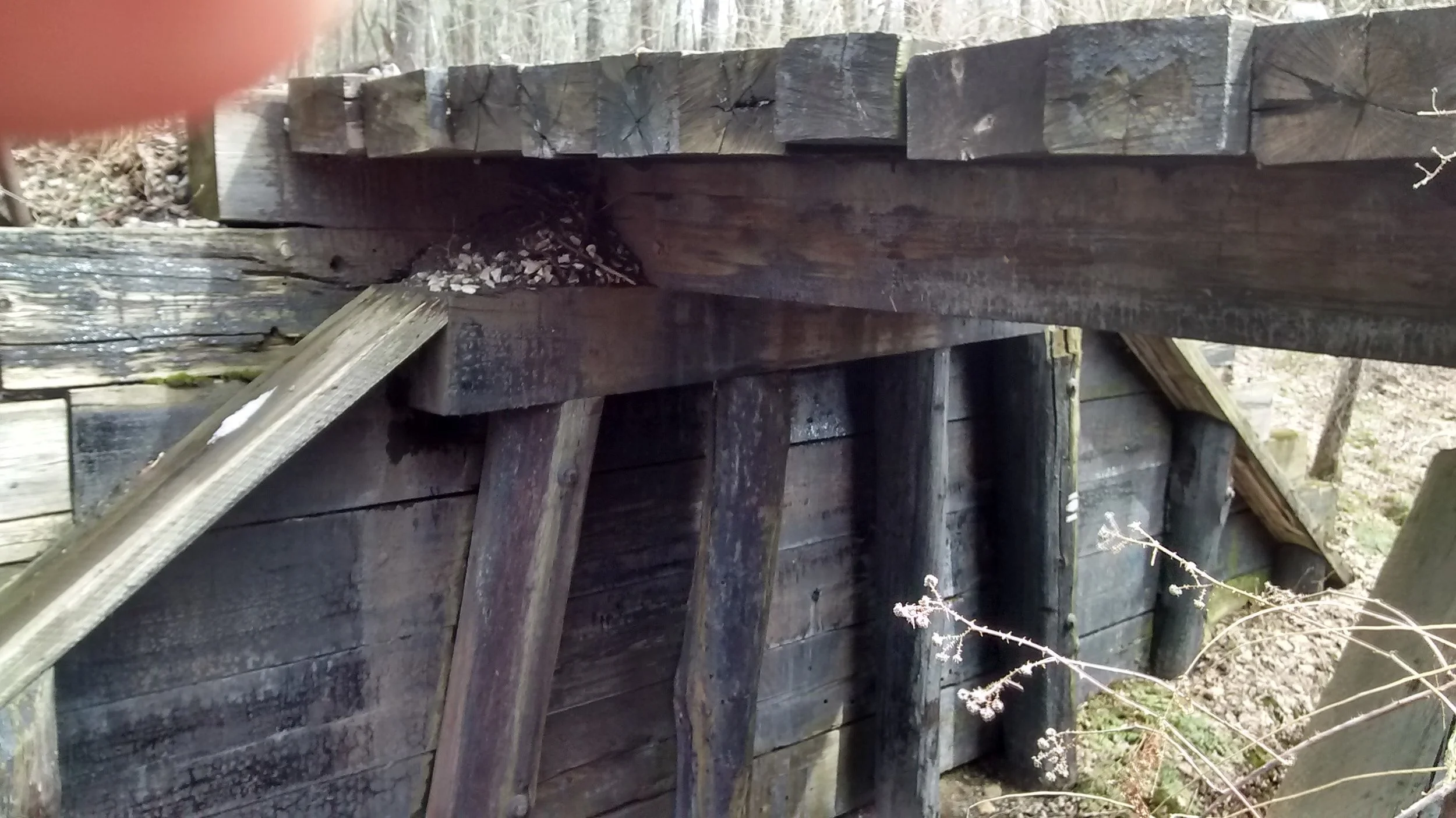 Trestle5.jpg