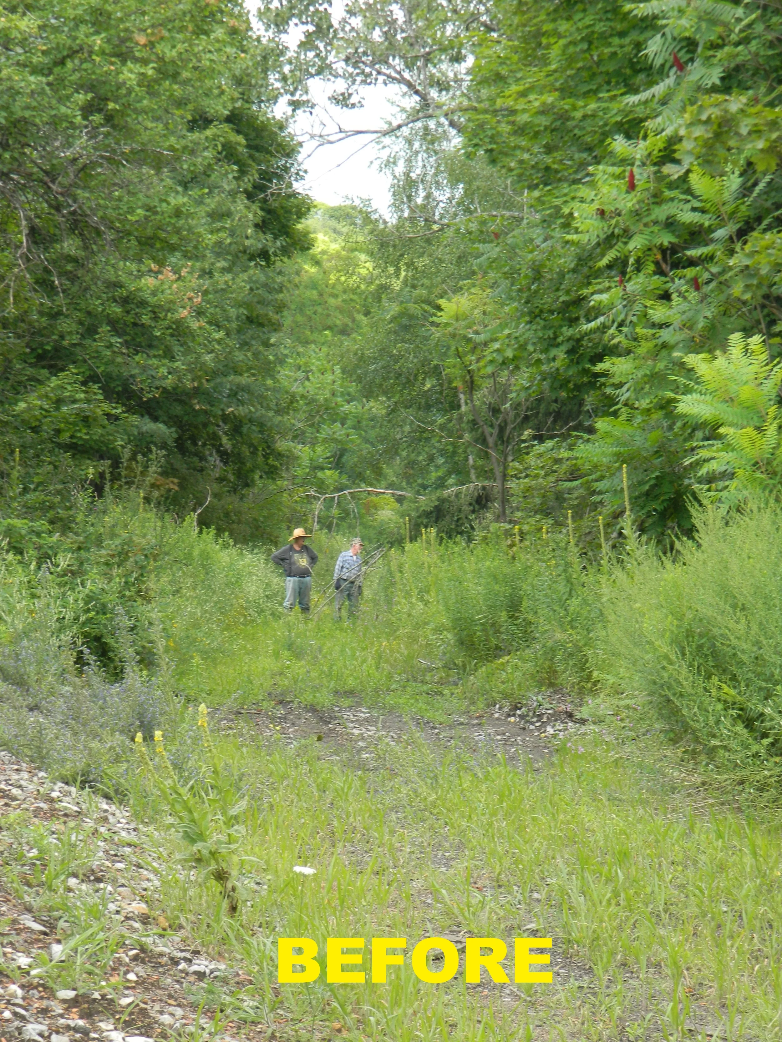 DSCN6056.JPG