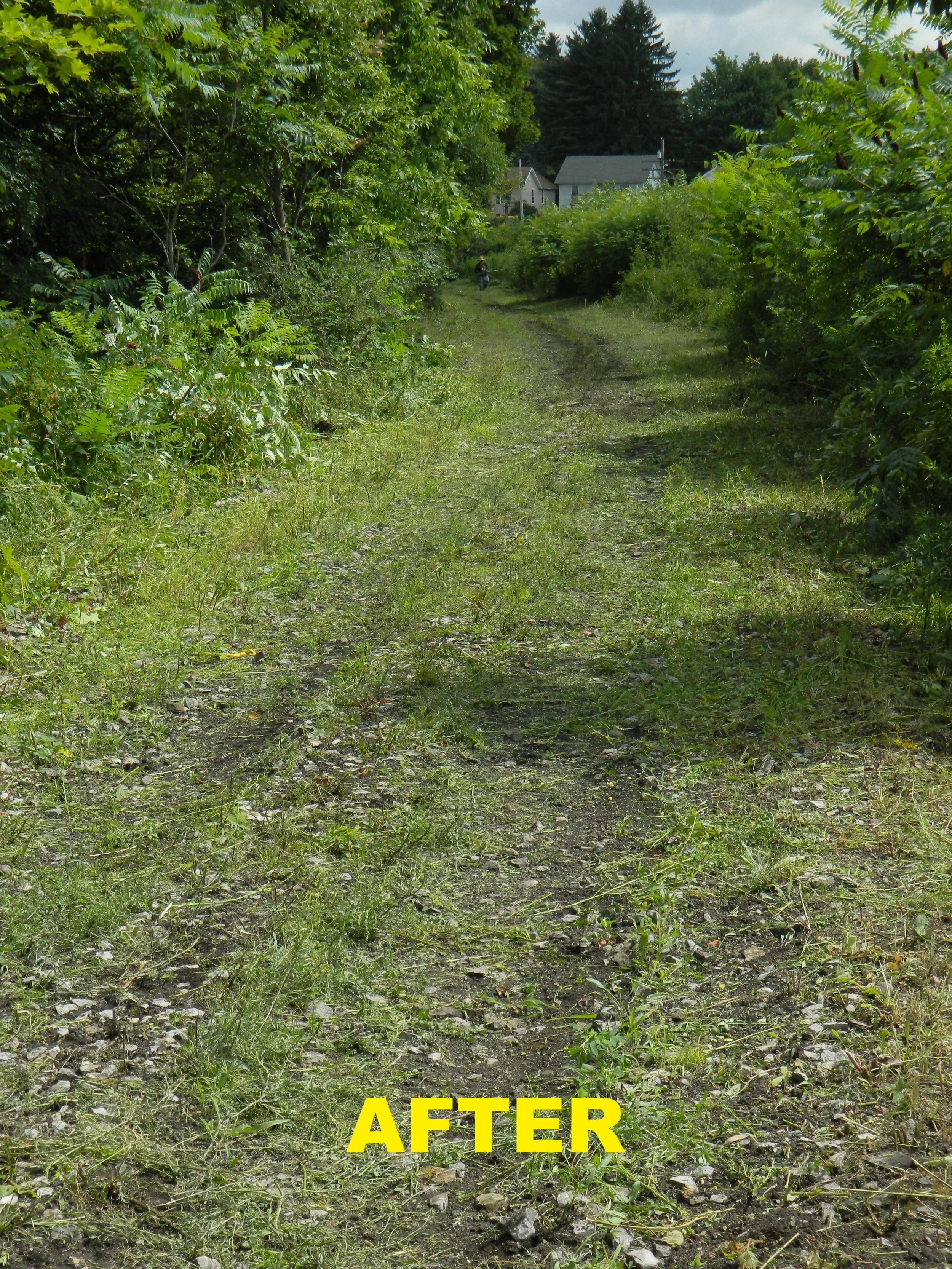 DSCN6077.JPG