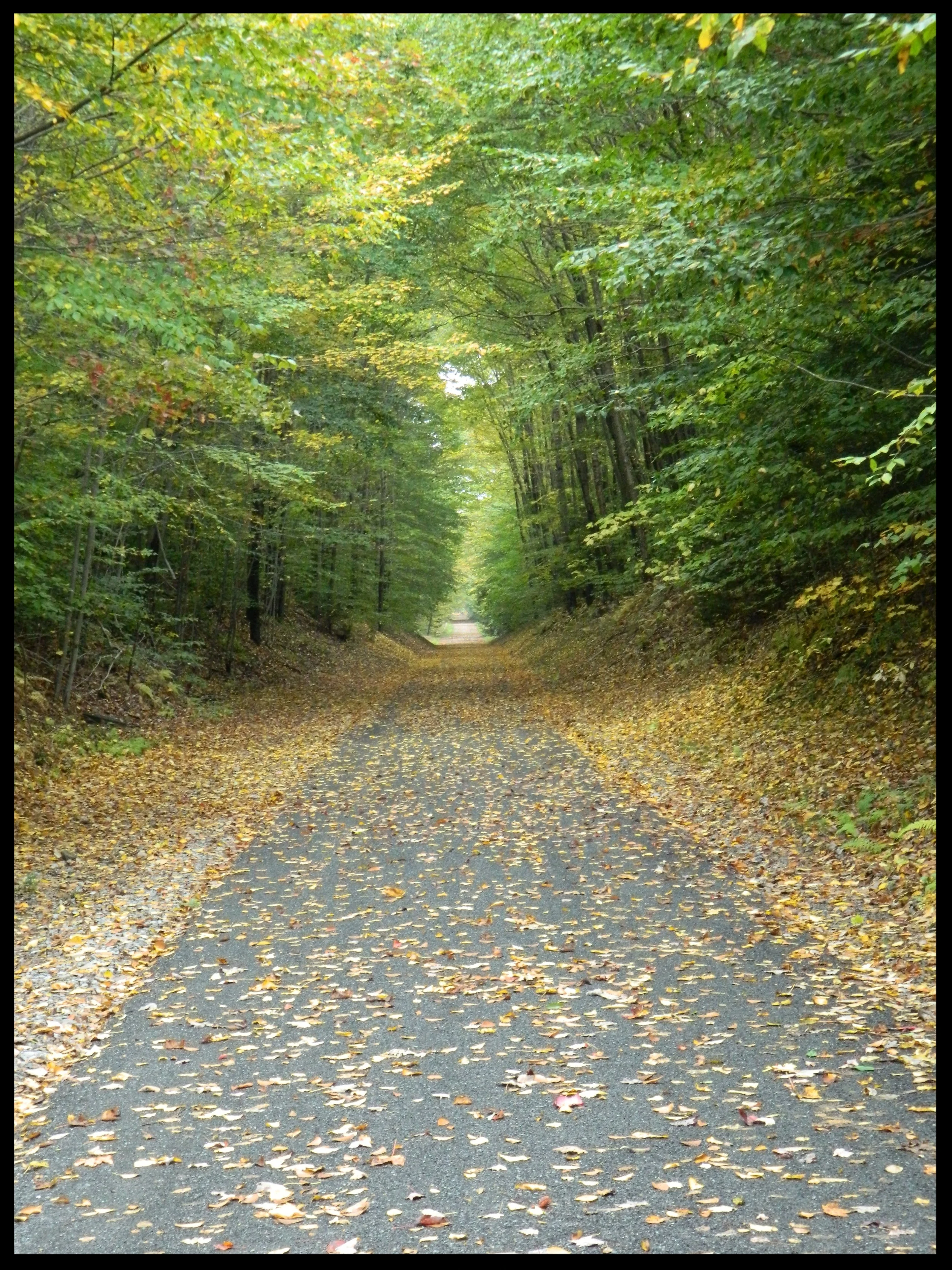 fall trail pic.JPG
