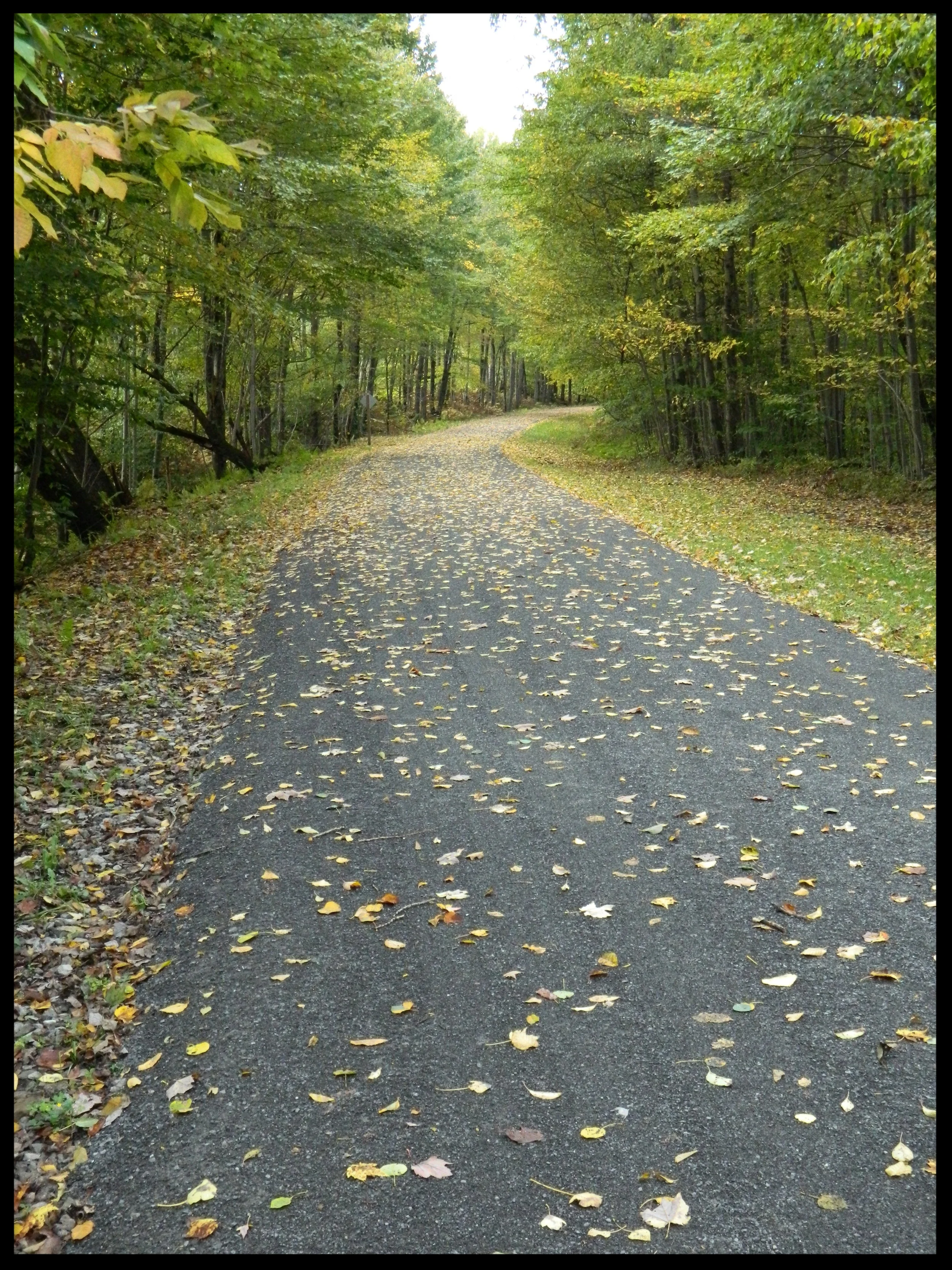 fall by Circle G.JPG