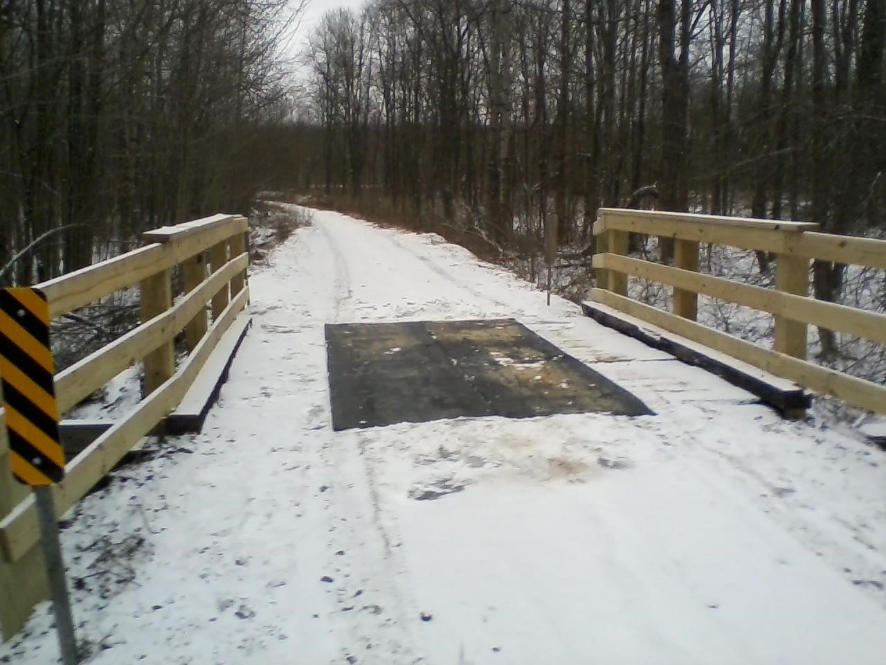 deck covered .jpg