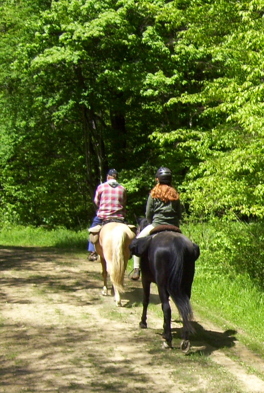 horse on trail (2).JPG