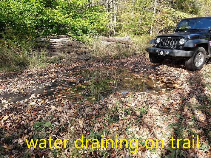 drainage on trail2.jpg