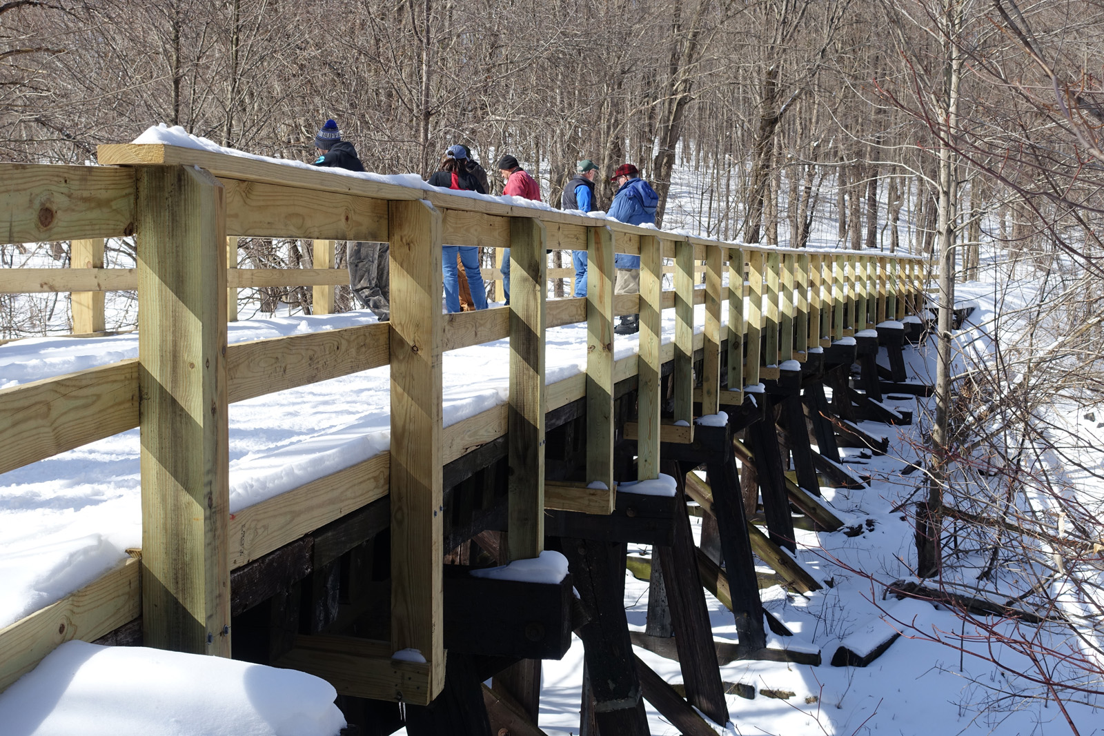 on snow covered trestle.jpg