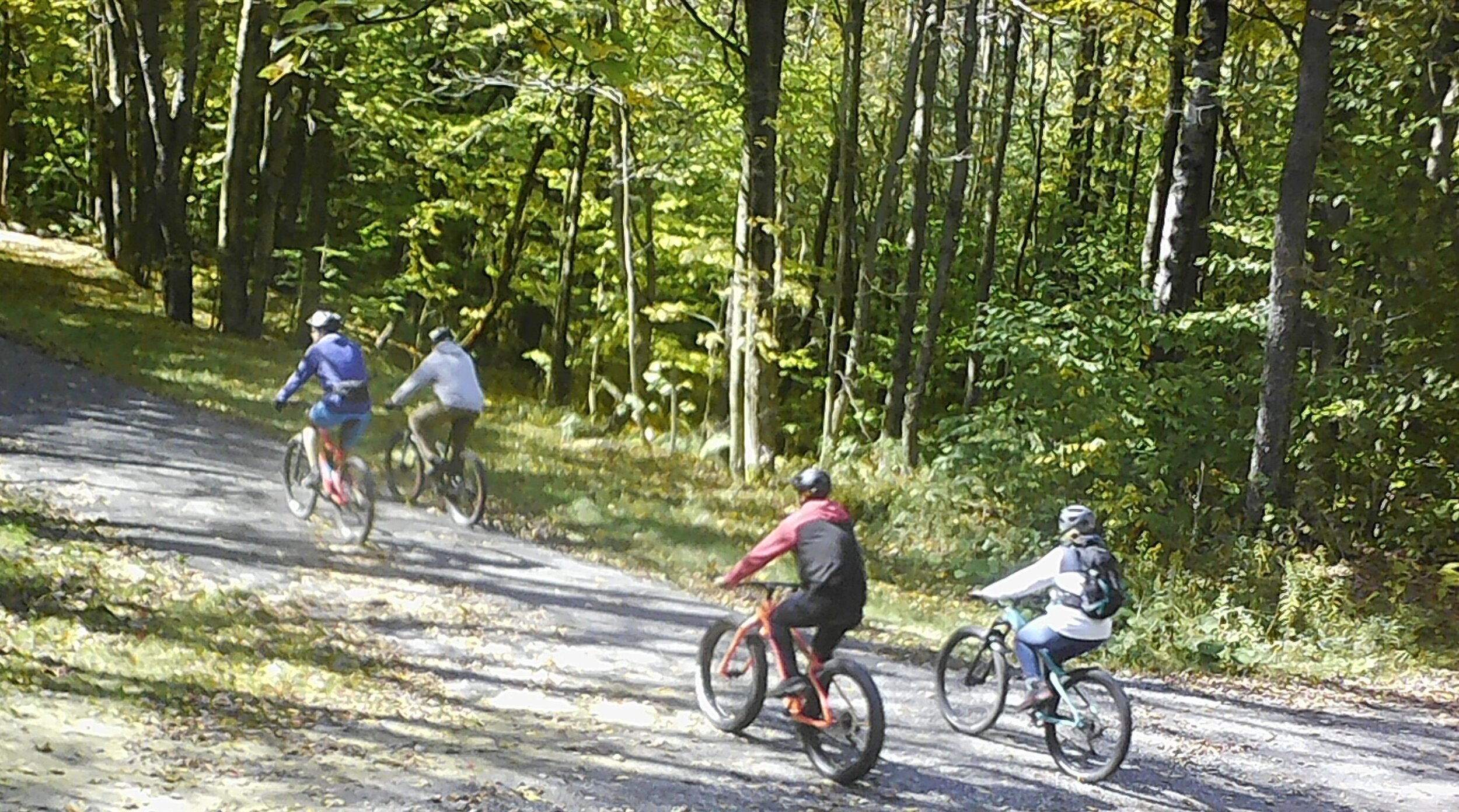 4 bikers on trail.jpg