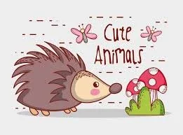cute porcupine.jpg