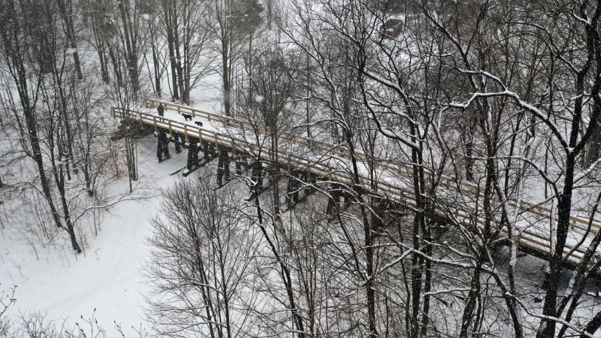 arial view of trestle&snow.jpg