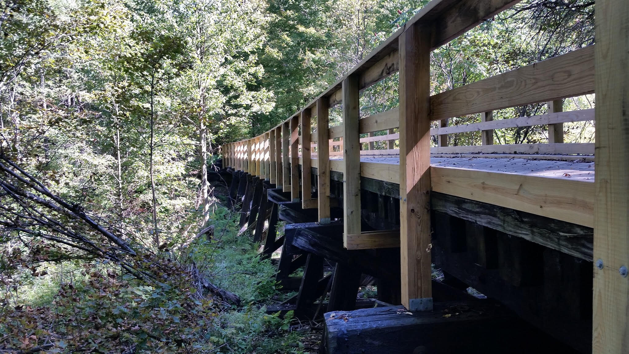 trestle side view.jpg