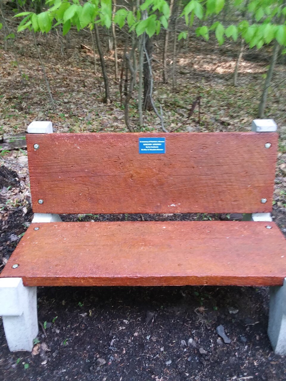 benson bench.jpg