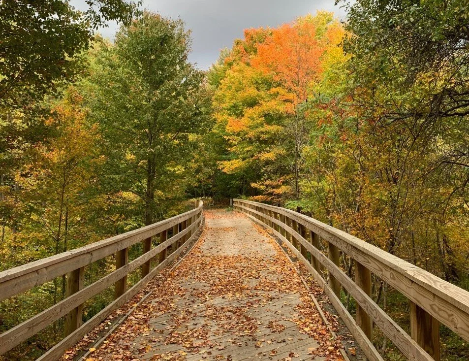 Photo by Matt Benson