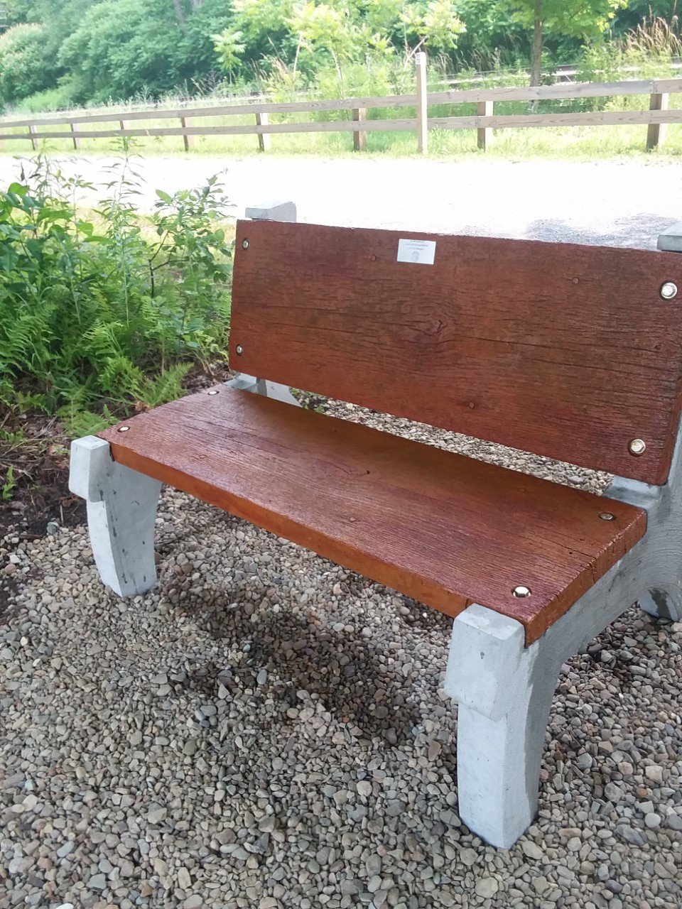 Morgans bench.jpg